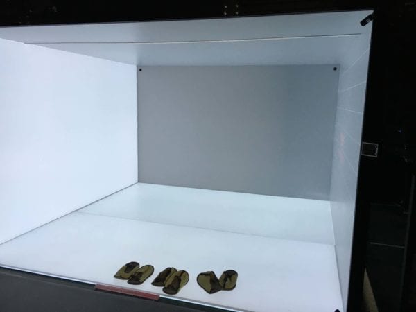 Paint the walls with quality projected content to transport students anywhere with CAVE or simulation projection screens from Pro Display Paint the walls with quality projected content to transport students anywhere with CAVE or simulation projection screens from Pro Display